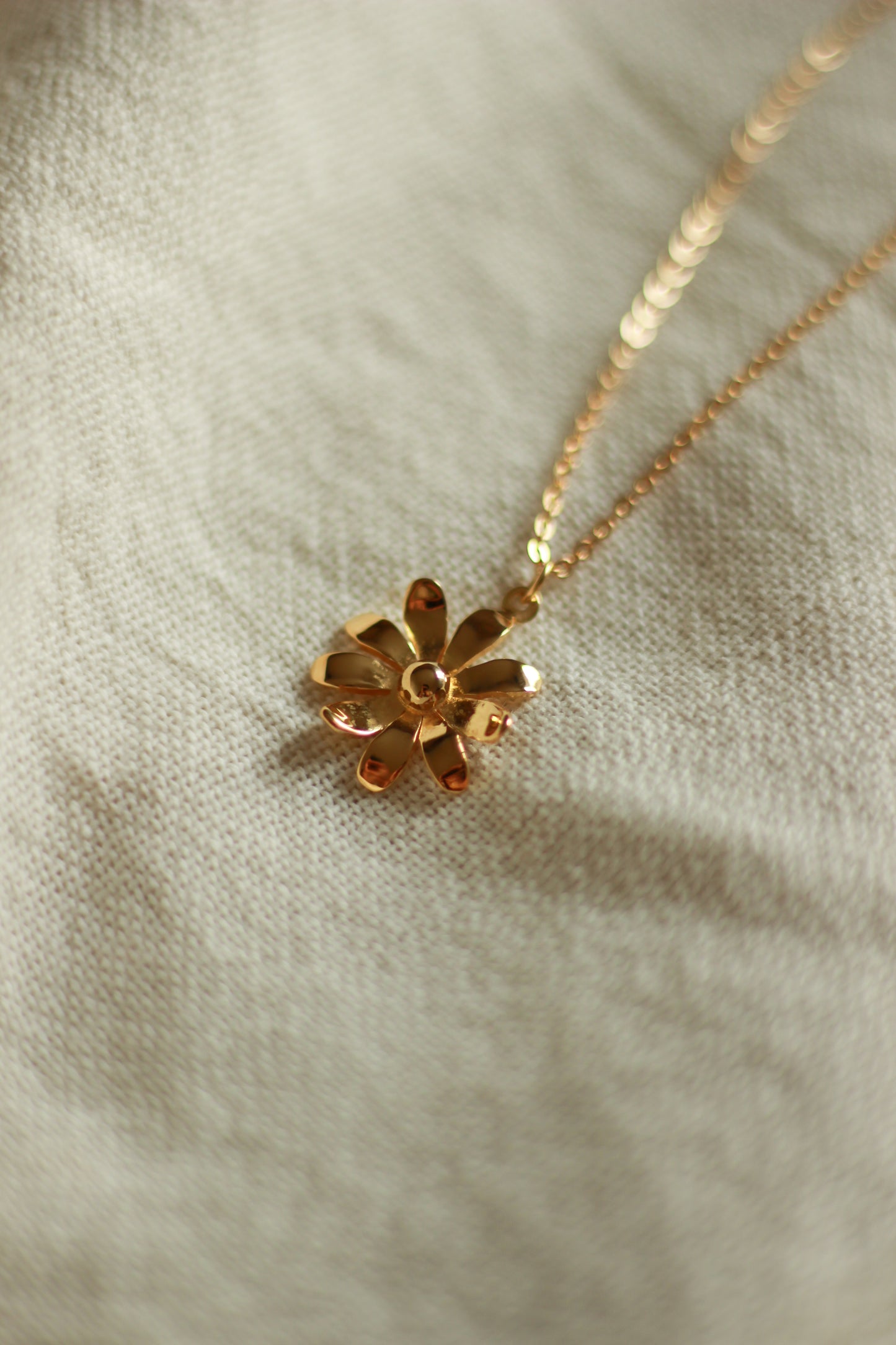 Collier Bellis