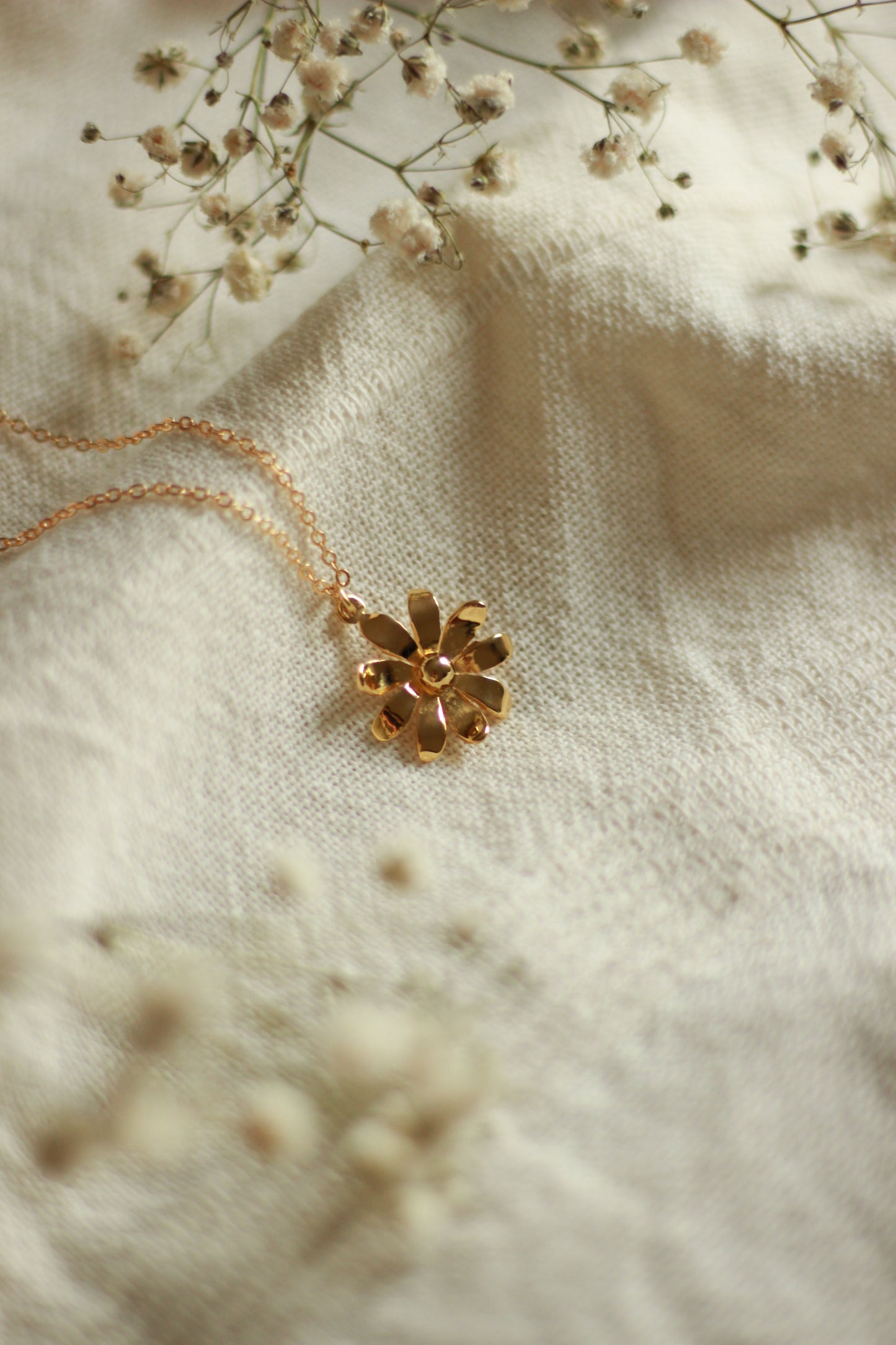 Collier Bellis