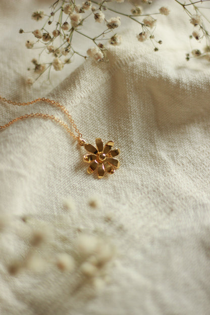Collier Bellis